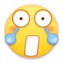 hj_shockcry