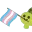 LGBTTransTurtle