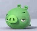 Xd
