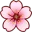 CherryBlossom