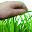 touchg