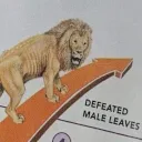 defeated