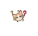 an_meow an_meow