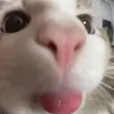 emoji_21