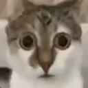 ough