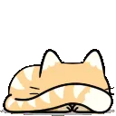 Hide