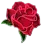 :rosa: