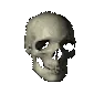 skullspin skullspin