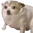 smolconcern smolconcern