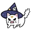 41629wizardcat6