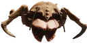 crab