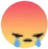Angrycri