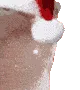 santacat