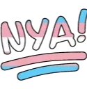 trans_nya