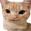 emoji_145