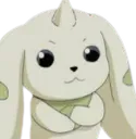 terrierhodo