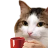 kiisu_coffee