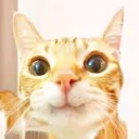 CuteCar CuteCar