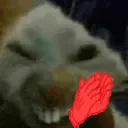xdxHYPERCLAP