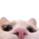 TG_Peek