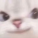 cattogrem cattogrem