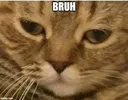 Bruh Bruh