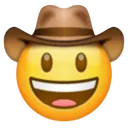 Emojidesombrerodevaquero1f920rem