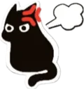 blackcat_angry