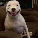 emoji_17