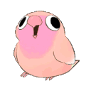 1146gif6f5119f0058257d595764377d