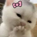 plsStaph
