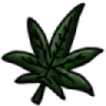 5_hsgweed