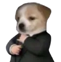 businessdog