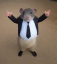businessrat