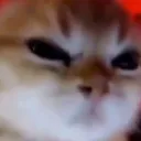 grr grr