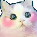 kitty_cute2