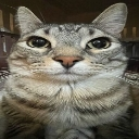solynlivereaction Discord emoji
