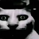 __