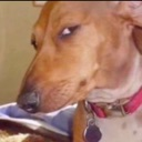 sideeye Discord emoji