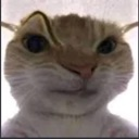 what Discord emoji