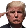 trumpsalute