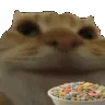 cateatingcereal