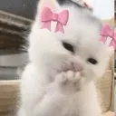 emoji_85
