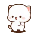 dancecat