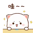 wowcat wowcat