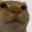 e_CatStare