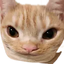 emoji_146