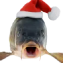santa_fish