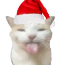 santacat