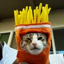 frycat